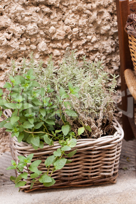 fresh green different herbs and flowers on window outdoor