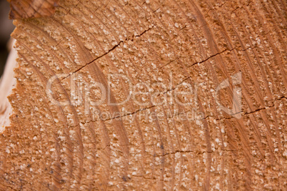 natural wooden background texture