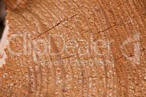 natural wooden background texture