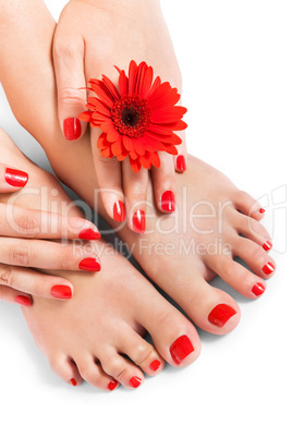 Woman with beautiful red manicured nails