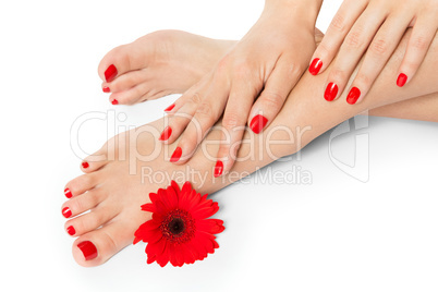 Woman with beautiful red manicured nails