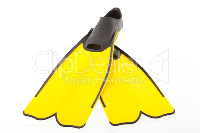 yellow snorkeling fins isolated