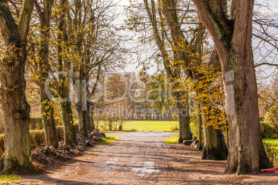 landscape and street in autumn spring outdoor