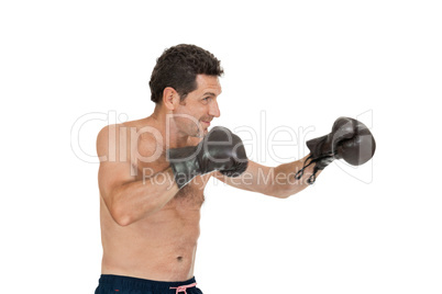 adult smiling man boxing sport gloves boxer isolated