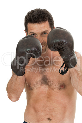 adult smiling man boxing sport gloves boxer isolated