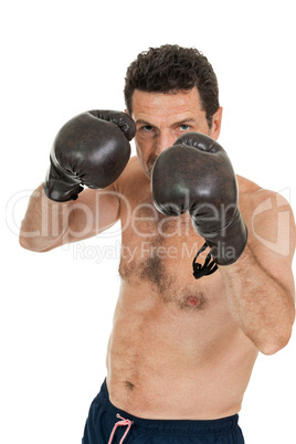 adult smiling man boxing sport gloves boxer isolated