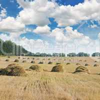 Field with Stacks of straw and blue sky