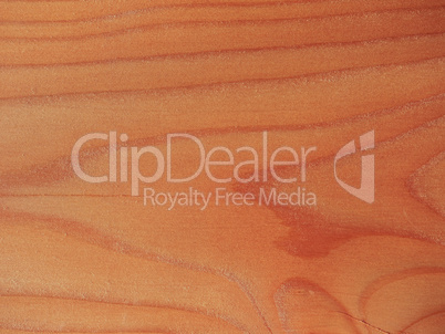 Larch wood background