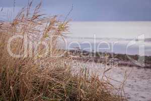 beautiful landscape dunes baltic sea in autumn winter