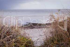 beautiful landscape dunes baltic sea in autumn winter