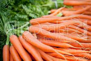 fresh orange carrots on market in summer