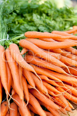 fresh orange carrots on market in summer