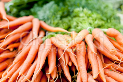 fresh orange carrots on market in summer