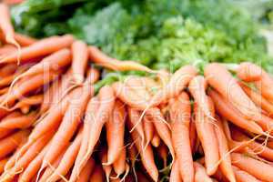 fresh orange carrots on market in summer