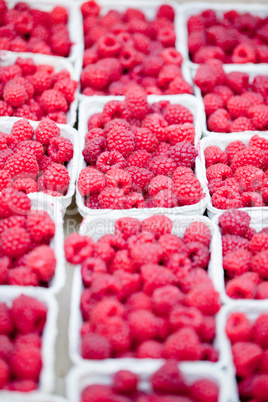 fresh tasty pink raspberry closeup macro on market outdoor