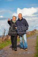 happy elderly senior couple walking on beach