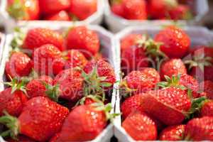 fresh delicious strawberries macro