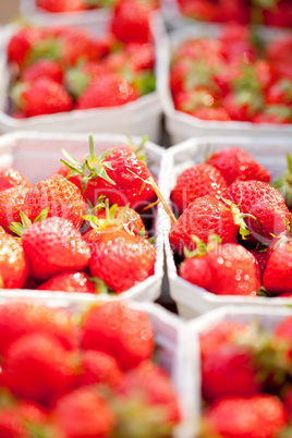 fresh delicious strawberries macro