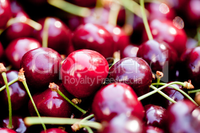 sweet red cherry closeup macro on market outdoor