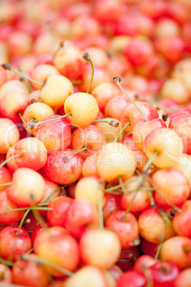 fresh yellow red sweet cherries macro closeup on market