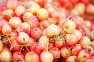 fresh yellow red sweet cherries macro closeup on market