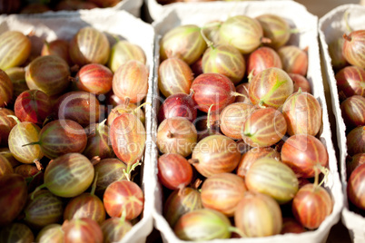 fresh tasty gooseberries macro closeup on market outdoor