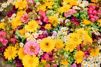 beautiful colorful collection of flowers spring summer celebration