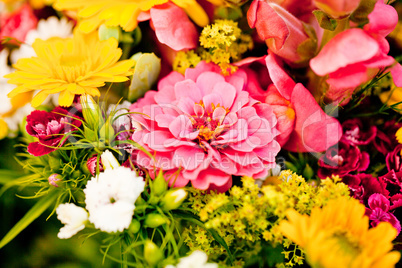 beautiful colorful collection of flowers spring summer celebration