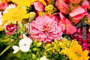 beautiful colorful collection of flowers spring summer celebration