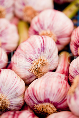 group of purple white garlic in basket macro