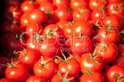 fresh red tomatoes on market