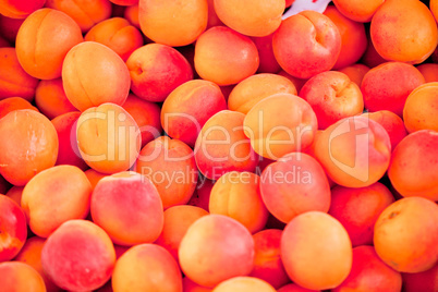 fresh orange red apricots peaches macro closeup on market