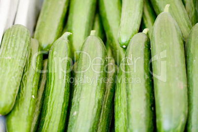fresh green cucumber on market macro