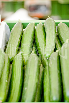 fresh green cucumber on market macro