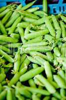 fresh green beans macro closeup on market outdoor