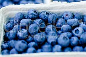 healthy fresh blueberries macro closeup on market outdoor