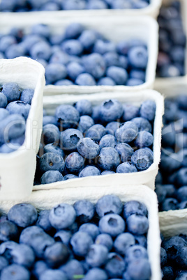 healthy fresh blueberries macro closeup on market outdoor