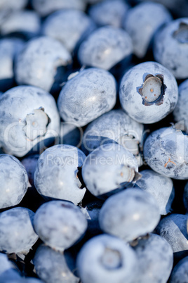 healthy fresh blueberries macro closeup on market outdoor