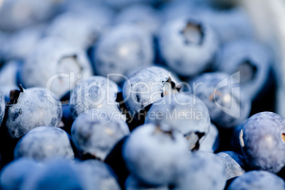 healthy fresh blueberries macro closeup on market outdoor