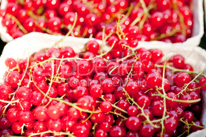 fresh tasty red currant berries macro closeup on market outdoor