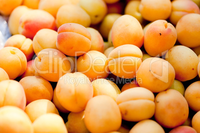 fresh orange red apricots peaches macro closeup on market