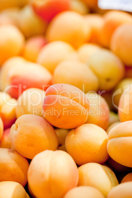 fresh orange red apricots peaches macro closeup on market