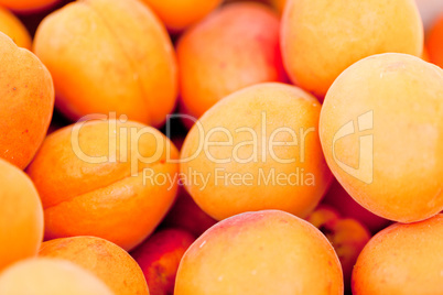 fresh orange red apricots peaches macro closeup on market