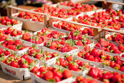 fresh delicious strawberries macro