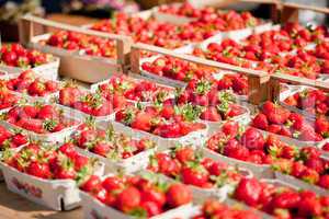 fresh delicious strawberries macro