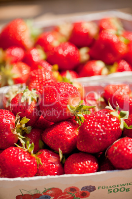 fresh delicious strawberries macro