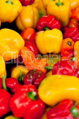 fresh healthy red yellow geen paprika pepper macro closeup