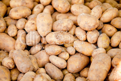 group of potatoes macro closeup market outdoor