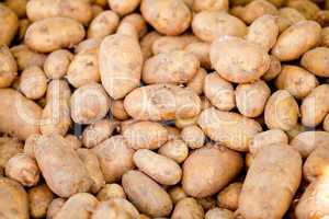 group of potatoes macro closeup market outdoor