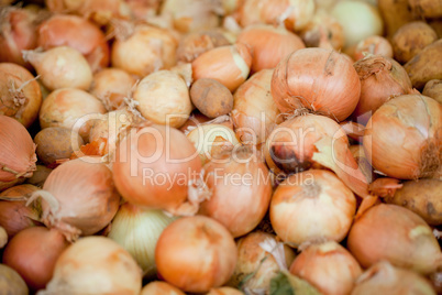 group of golden onion macro closeup outdoor market